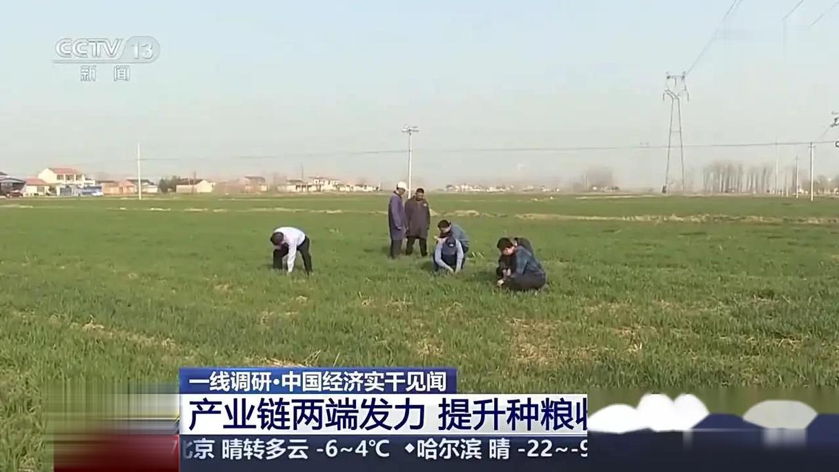 從黑龍江富錦到江蘇漣水 跨越三千里的糧食收購(gòu)交響曲